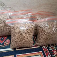 غذای ماهی گوشت خوار وگیاه خوار