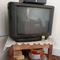 تلویزیون