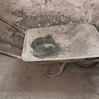 فرغون