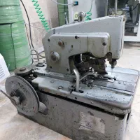 مادگی چشمی مینروا