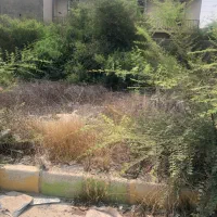 زمین-مسکونی-333متری-سند-تک-برگ