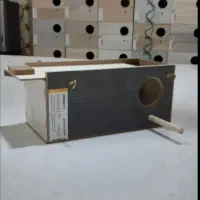 لونه طوطی