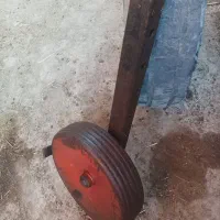 چرخ پنجه قازی