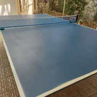میز پینگ پنگ