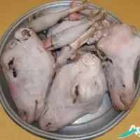 کله پاچه پاک کرده به قیمت تعاونی