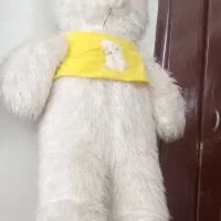 عروسک شاسخین