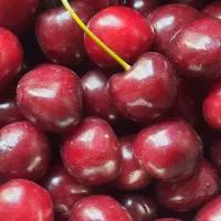 گیاس فرنگی درجه یک