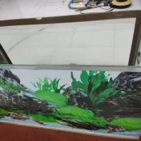 اکواریوم