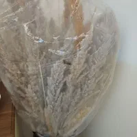 گل پامپاس|گل مصنوعی|کرمانشاه, |دیوار