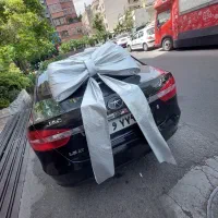 پاپیون نقره ای بزرگ