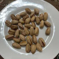 پسته|خدمات باغبانی و درختکاری|چغادک, |دیوار
