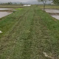 زمین-کشاورزی-خوش-نقشه-و-بهترین-مکان