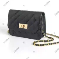 کیف پیدا شده مال دوخانم مسافر ازجم به شیراز بام جم