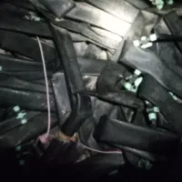 لوله نخی ۷۵ در حد نو ۲۰۰۰ متر