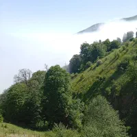 راهنمایی لطفاً