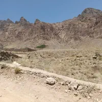 فروش زمین گل افشان