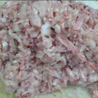 بچه فیله مرغ
