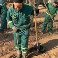 باغبانی.ودرخت.کاری.هرس.کردن