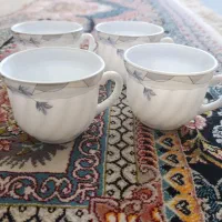 فنجان ارکوپال،پیک نیک کوهنوری،آبلیمو گیر دستی