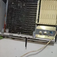 همچیز سالم است