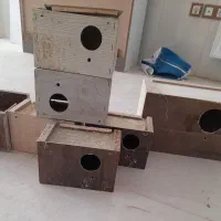 لونه عروس هلندی یک مابقی هم لونه فنج چوبی ارزون