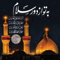 همسفر کربلا