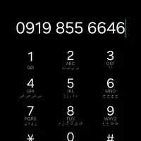 09198556646