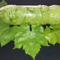 آبغوره و برگ انگور در بطری