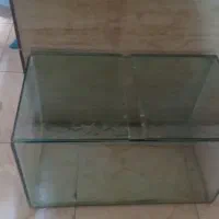 آکواریوم