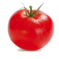 دستگاه آب گوجه گیری