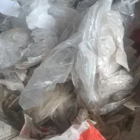 نیرو خانم جهت کار در کارگاه
