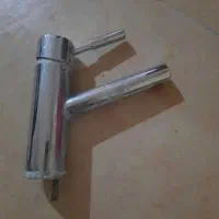 دو عدد شیر