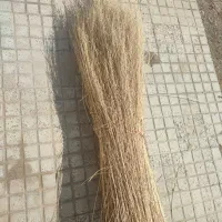 جارو شهرداری