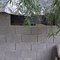 باغچه-1000متری