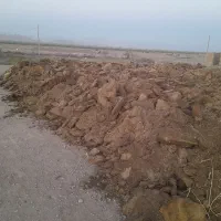 کود حیوانی گوسفندی