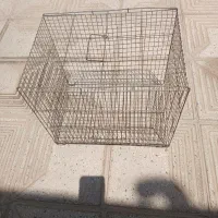 قفس پرنده