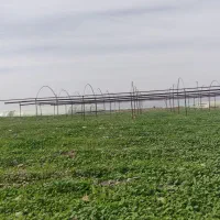 جوشکاری (موتور برق اجاره ای هم موجود هست)