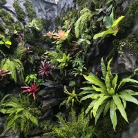 پالداریوم پالوداریوم پالاداریوم تراریـوم اکواریوم