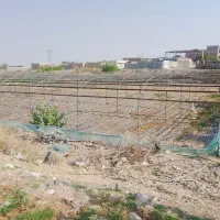 فروش اسکلت گلخانه