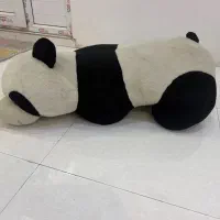 پاندا