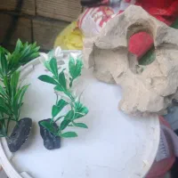 سنگ تزیینی آکواریوم وگل مصنوعی
