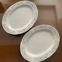 دو عدد دیس پلو خوری