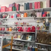 تم تولدی سرزمین شادی