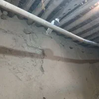 کبوتر