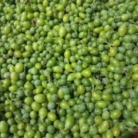 غوره و آب غوره