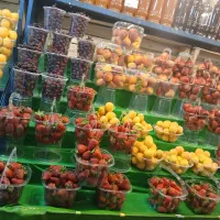 به یک همکار در آبمیوه بستنی وارد