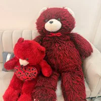 دوعدد خرس تدی شاسخین