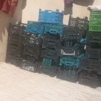 سبد
