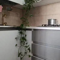 استند گل ام دی آف و گل‌های آپارتمانی