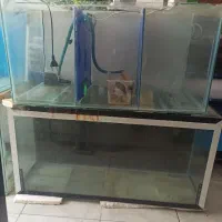 آکواریوم کارکرده بزرگ